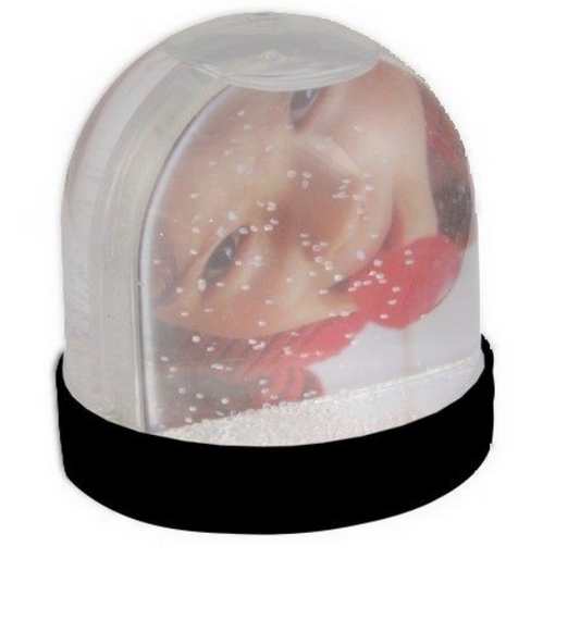 Snow Globe Picture Frame