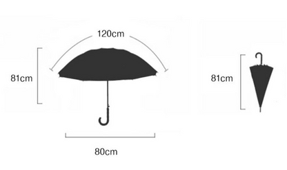 Beautiful Design Transparent Unicorn Umbrella - Lake Blue