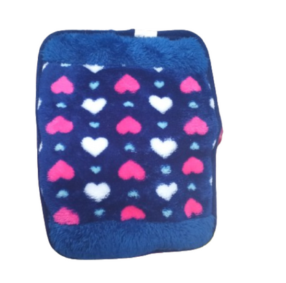 Electro-thermal Hot Water Bottle
