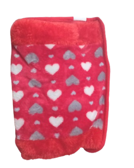 Electro-thermal Hot Water Bottle